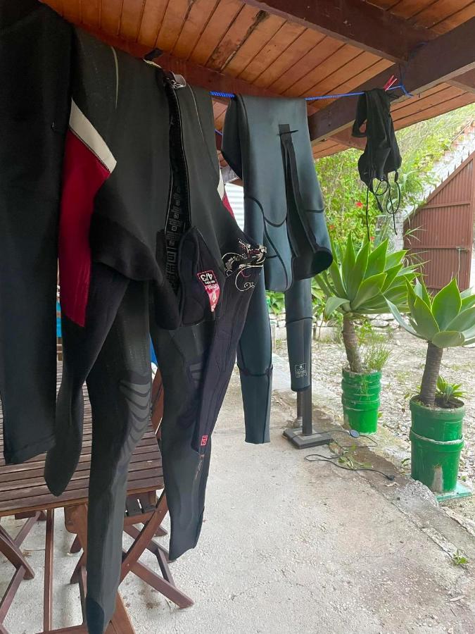 Casa Rural Con Piscina Viajar Con Mascota Gaucín Exteriör bild