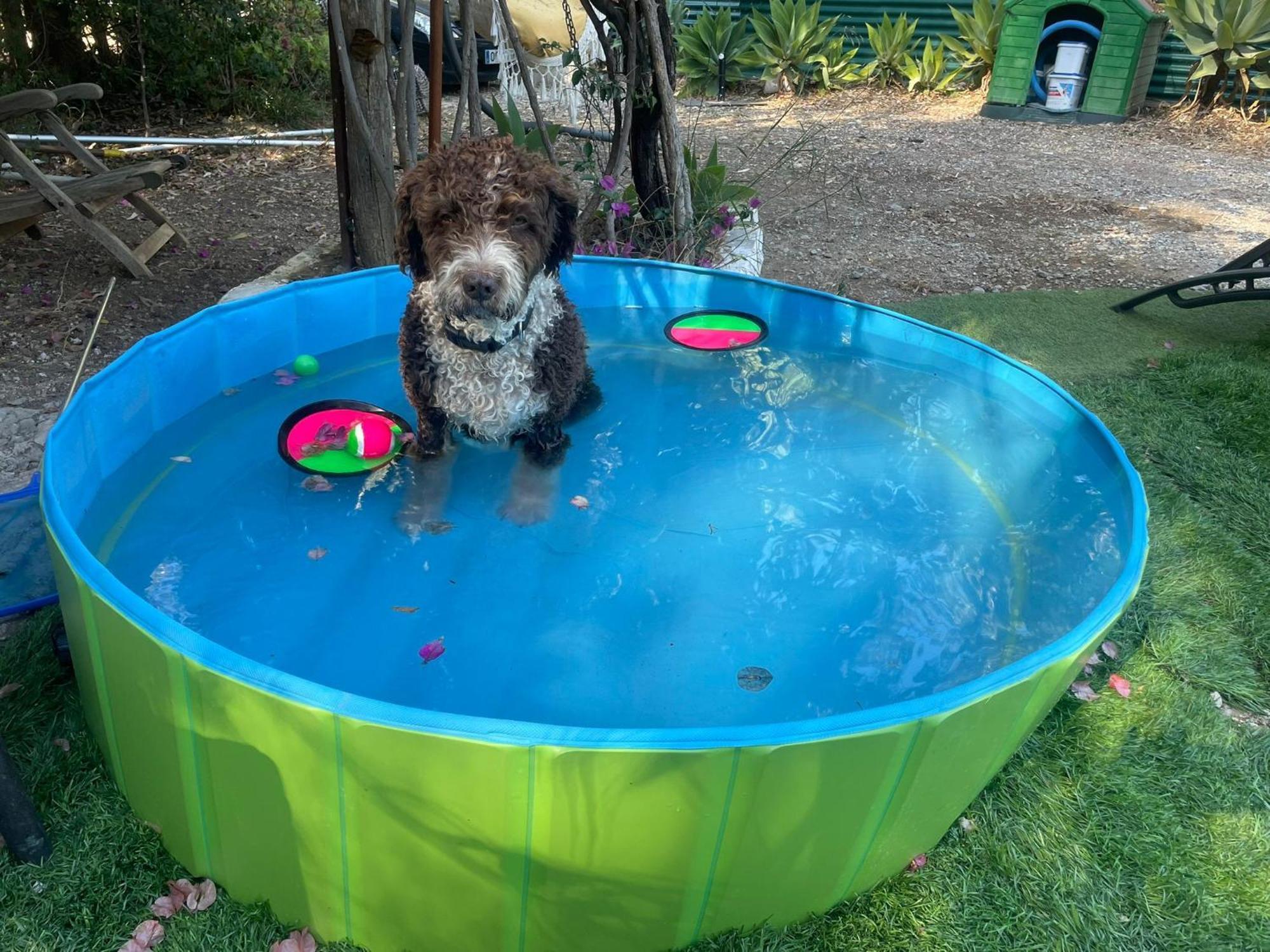 Casa Rural Con Piscina Viajar Con Mascota Gaucín Exteriör bild